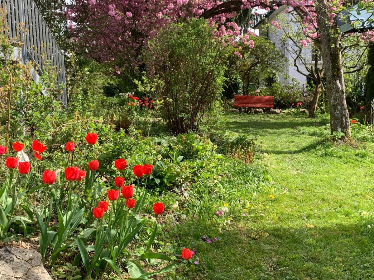 au jardin Bed & Breakfast Zuchwil Bagian luar foto