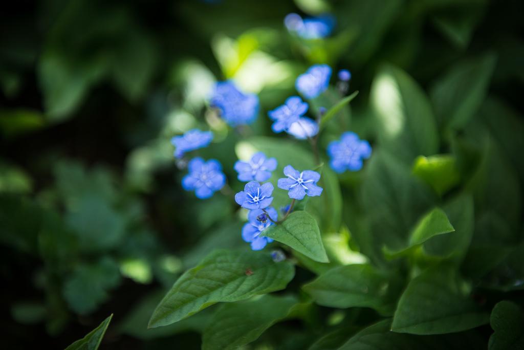 au jardin Bed & Breakfast Zuchwil Bagian luar foto