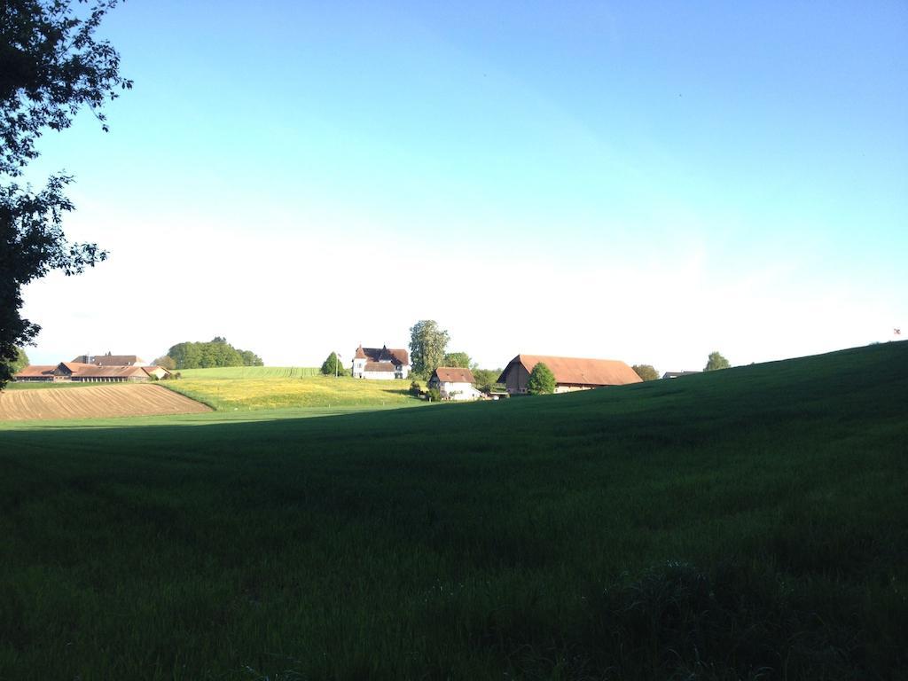 au jardin Bed & Breakfast Zuchwil Bagian luar foto